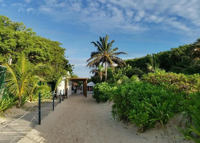 Hotelito 54 *